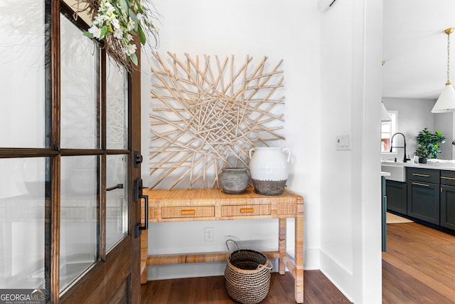 details featuring wood finished floors, baseboards, and a sink