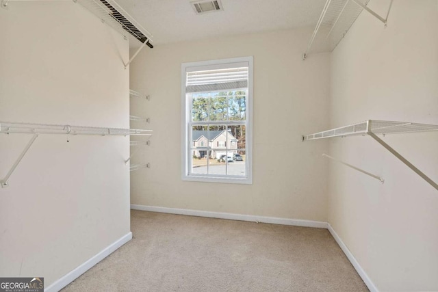 spacious closet featuring carpet and visible vents