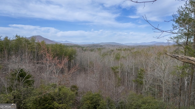 property view of mountains featuring a wooded view