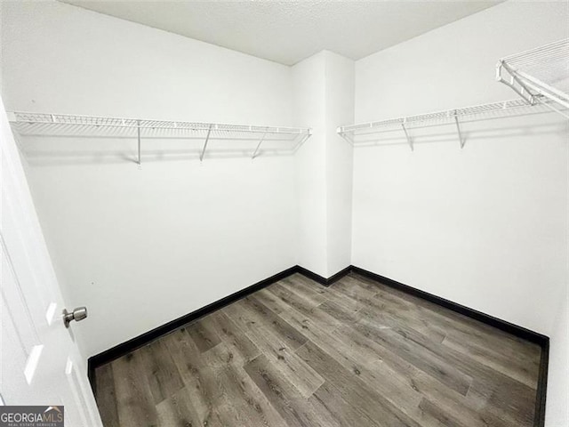 walk in closet with wood finished floors