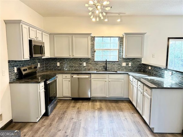 kitchen with a peninsula, a healthy amount of sunlight, appliances with stainless steel finishes, and a sink