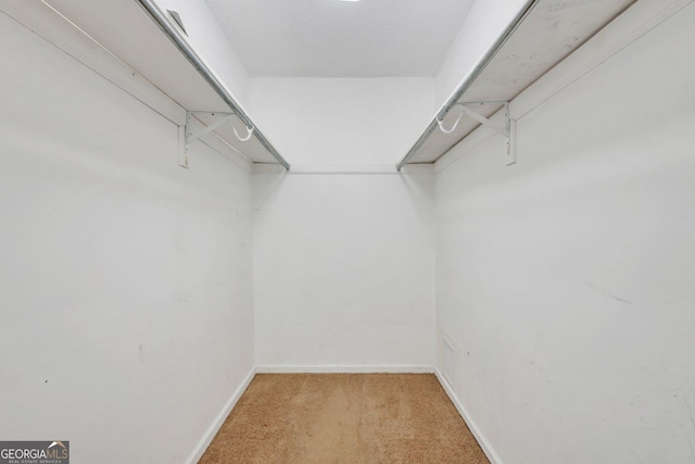 1407 Forest Lake Dr, Hinesville, GA 31313 - walk in closet with carpet flooring