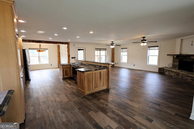 kitchen featuring dark wood finished floors, open floor plan, a fireplace, plenty of natural light, and stainless steel appliances