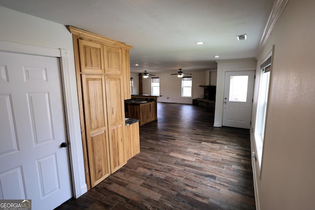 hallway with visible vents, baseboards, dark wood-type flooring, and ornamental molding