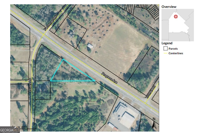 0 Perry Hwy, Hawkinsville GA, 31036 land for sale