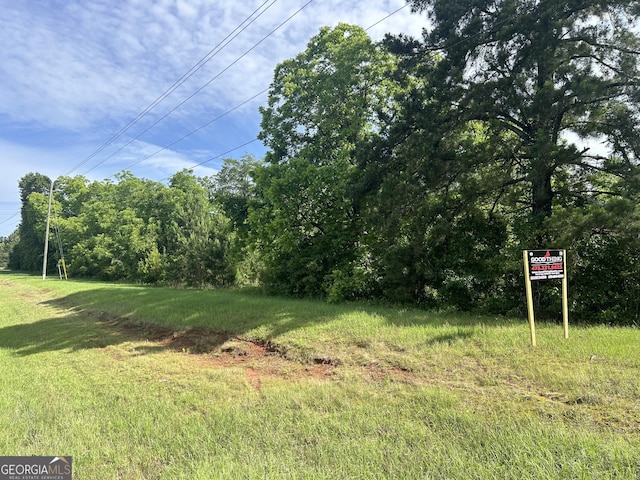 Listing photo 2 for 0 Perry Hwy, Hawkinsville GA 31036