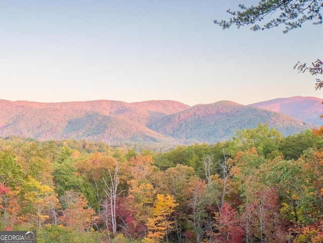 mountain view featuring a forest view