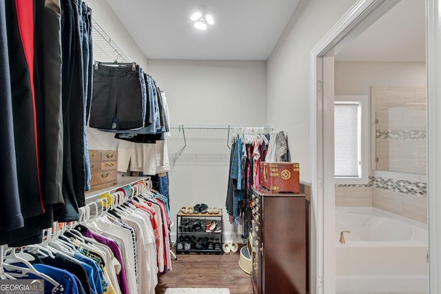 spacious closet featuring wood finished floors