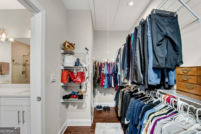 walk in closet featuring attic access and wood finished floors