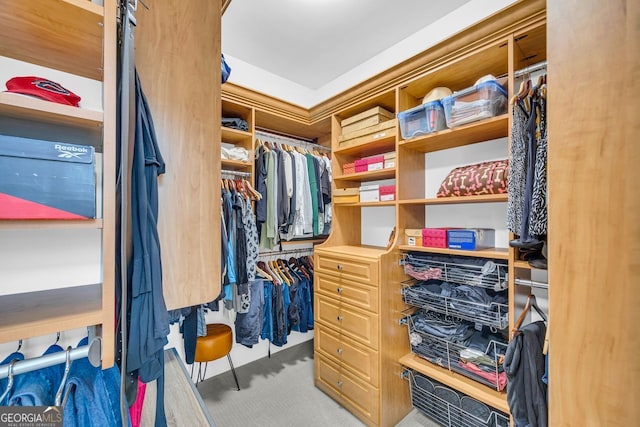 spacious closet with carpet flooring