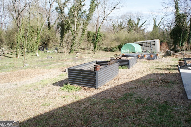 view of yard featuring a vegetable garden