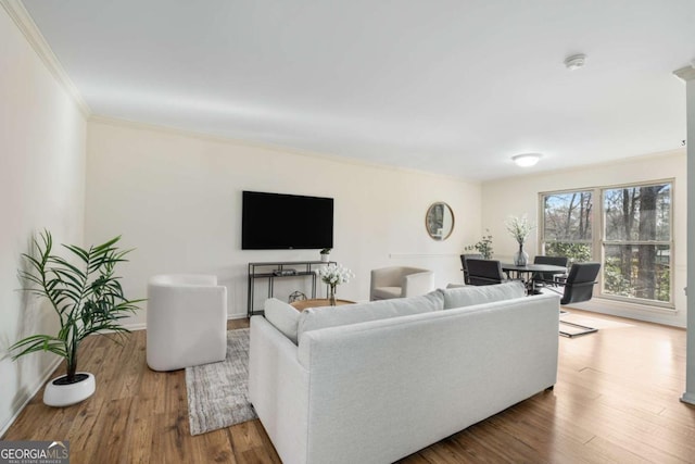 living area featuring wood finished floors, baseboards, and ornamental molding