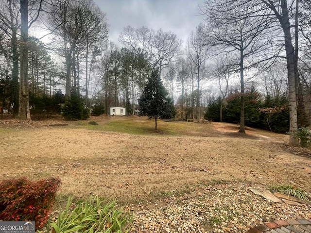 view of yard featuring a shed and an outdoor structure