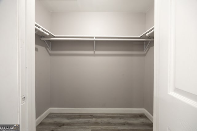 spacious closet featuring wood finished floors