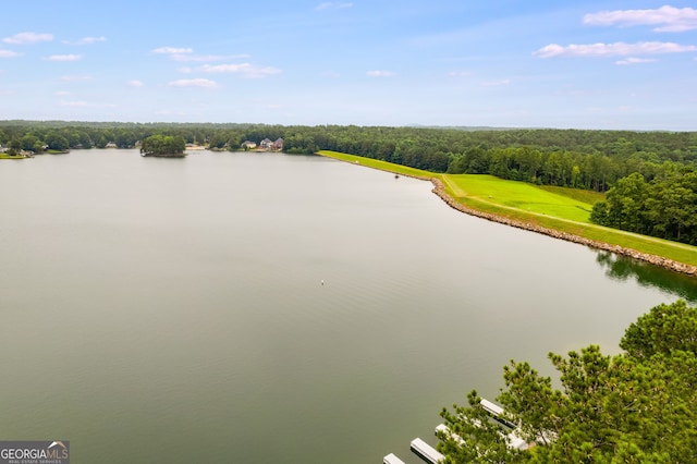 property view of water featuring a forest view