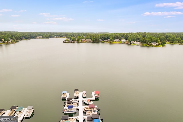 aerial view with a water view and a wooded view