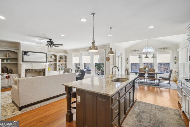 kitchen featuring a sink, light wood-type flooring, a healthy amount of sunlight, dark brown cabinetry, and ceiling fan