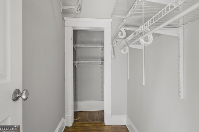 spacious closet featuring wood finished floors