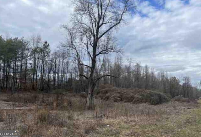 Listing photo 2 for 0 Asbestos Rd, Cleveland GA 30528