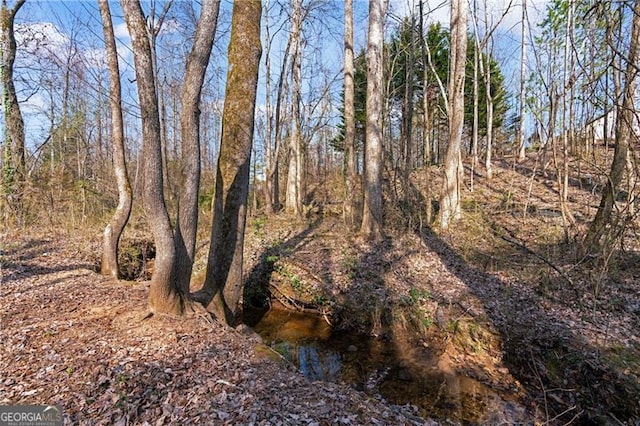 view of local wilderness