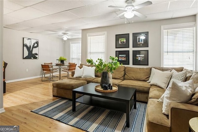 living area with baseboards, a healthy amount of sunlight, ceiling fan, and light wood finished floors