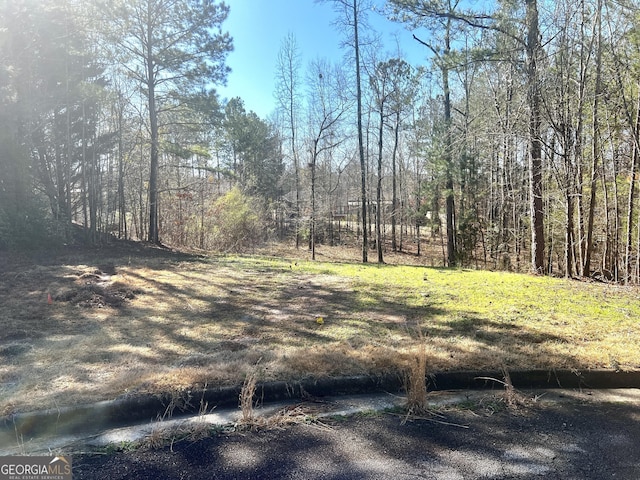 1409 Short Ct, Mcdonough GA, 30252 land for sale