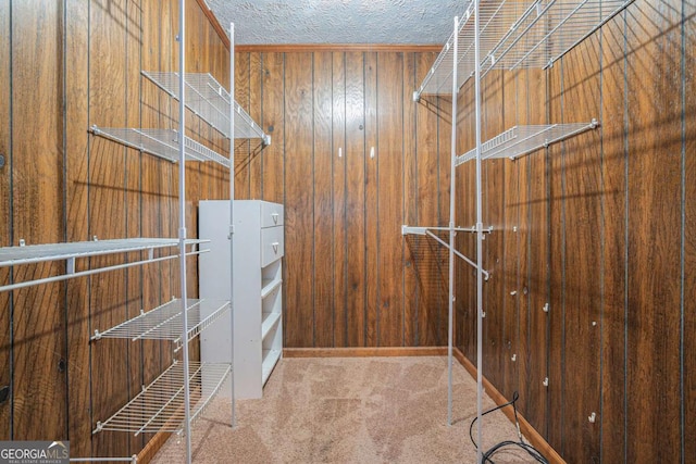 walk in closet with carpet