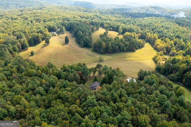 bird's eye view featuring a view of trees