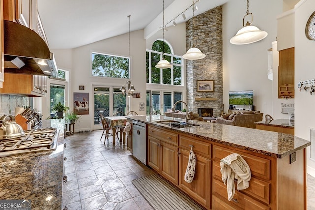 kitchen featuring range hood, dark stone counters, a fireplace, a sink, and appliances with stainless steel finishes