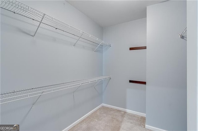 walk in closet featuring carpet