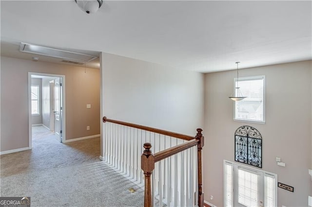 hallway featuring a wealth of natural light, baseboards, attic access, and carpet