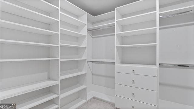 view of spacious closet