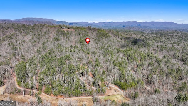 Listing photo 3 for 11.1AC Stevens Ridge Rd Unit 2A, Ellijay GA 30540