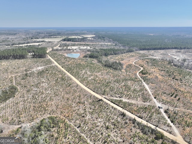 V/L Roberson Town Rd Lot # Wp001, Jacksonville GA, 31544 land for sale