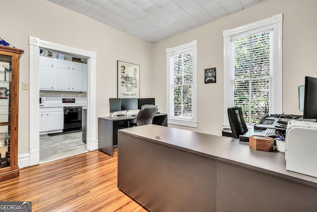 office space featuring light wood-style flooring and a wealth of natural light