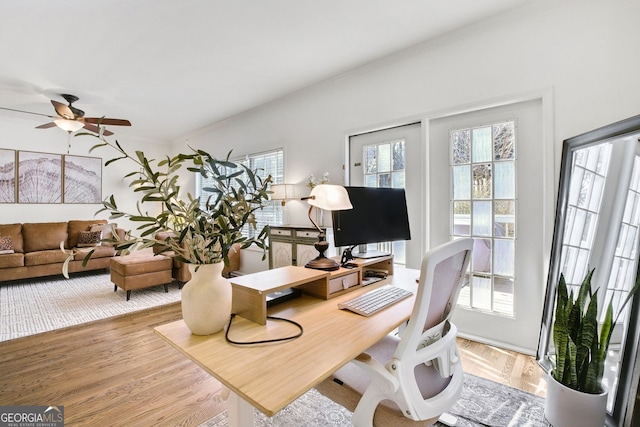 office space featuring a wealth of natural light, wood finished floors, and a ceiling fan