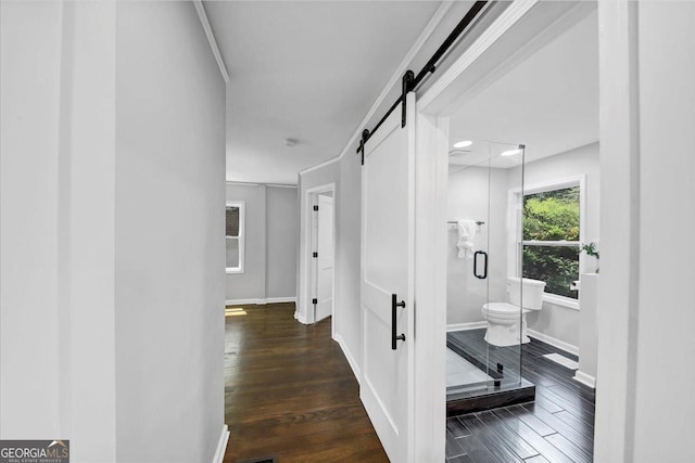 corridor with a barn door, baseboards, dark wood finished floors, and crown molding