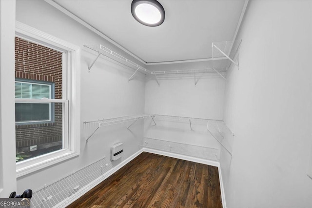 walk in closet with dark wood-type flooring