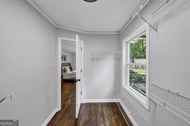 walk in closet featuring wood finished floors