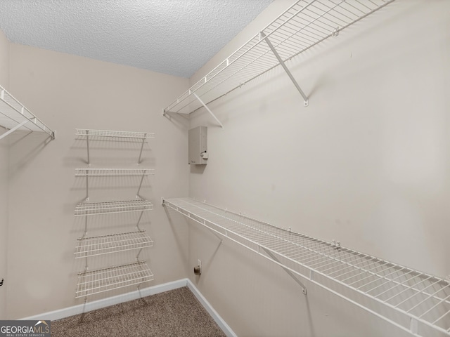 spacious closet with carpet