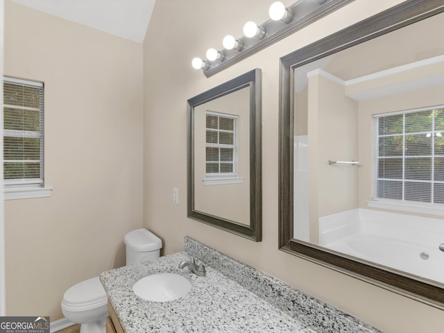 bathroom with vanity, toilet, and a bath