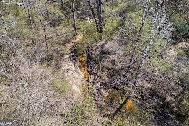 view of local wilderness with a wooded view