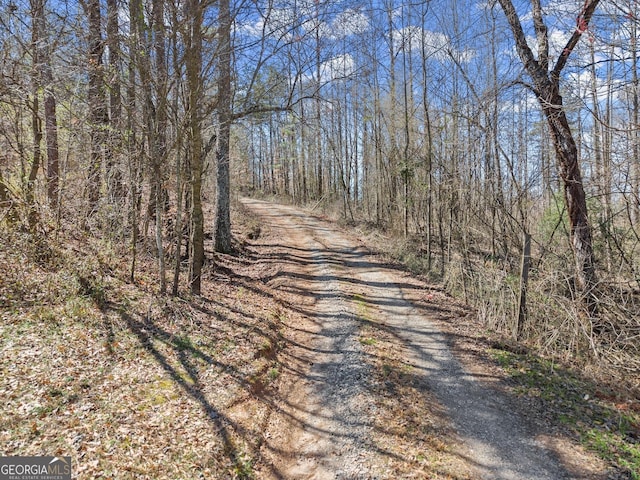 4370 Ed Henson Rd, Gainesville GA, 30506 land for sale