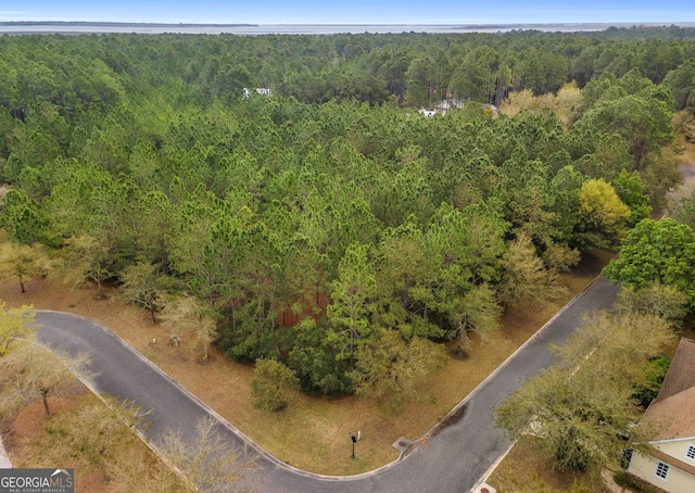 Listing photo 2 for V/L198 Plank Ln, Saint Marys GA 31558