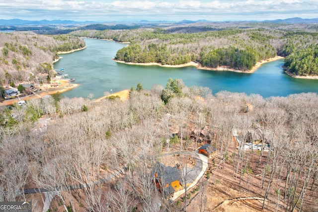 birds eye view of property with a wooded view and a water view