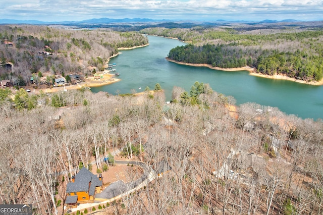 drone / aerial view featuring a forest view and a water view