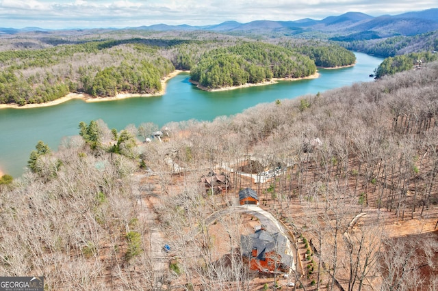 bird's eye view with a forest view and a water and mountain view