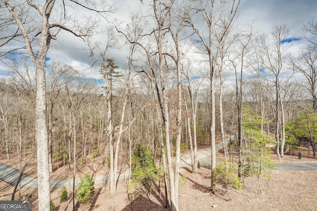 view of landscape with a wooded view