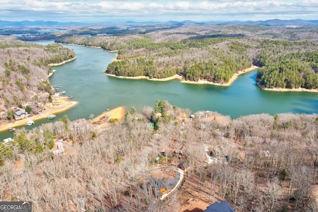 bird's eye view featuring a forest view and a water and mountain view