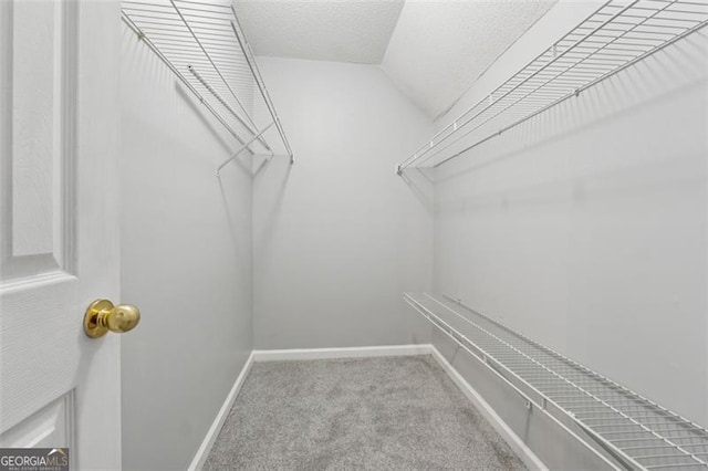 spacious closet featuring vaulted ceiling and carpet flooring